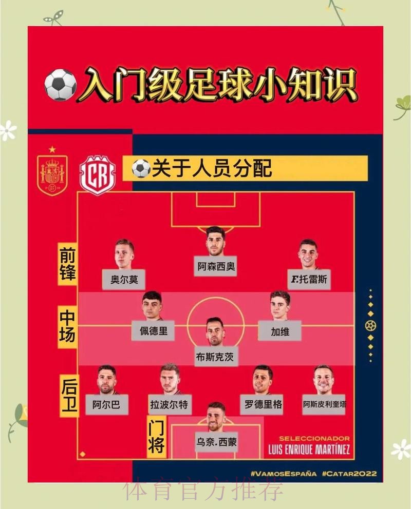 深入解析世界杯球队表现与竞赛策略